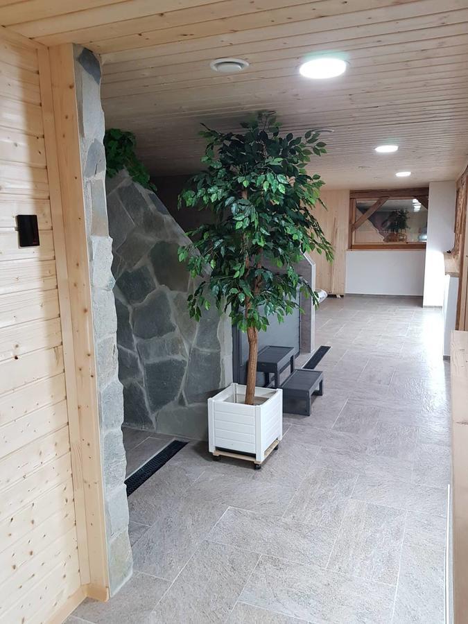 Отель Statek 3 - Wellness & Spa Глубока-над-Влтавой Экстерьер фото