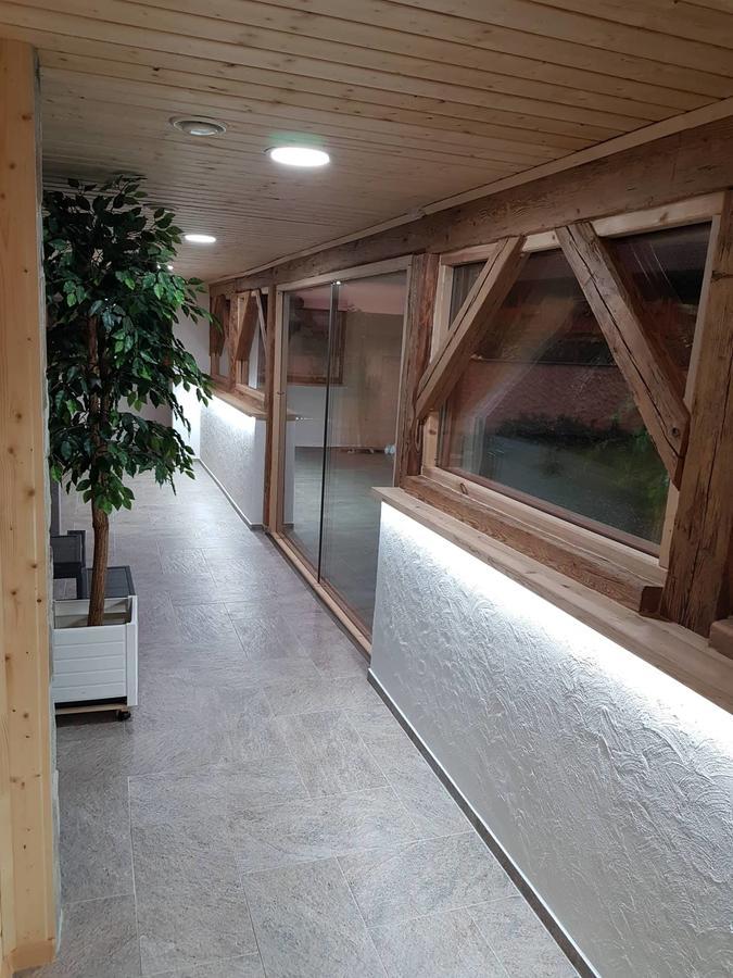 Отель Statek 3 - Wellness & Spa Глубока-над-Влтавой Экстерьер фото